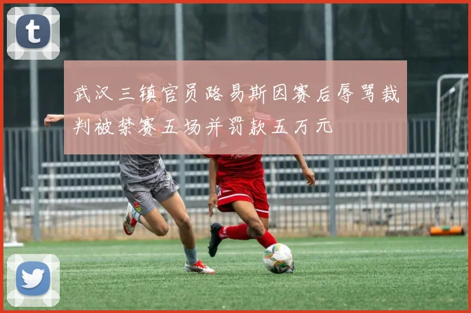 武汉三镇官员路易斯因赛后辱骂裁判被禁赛五场并罚款五万元